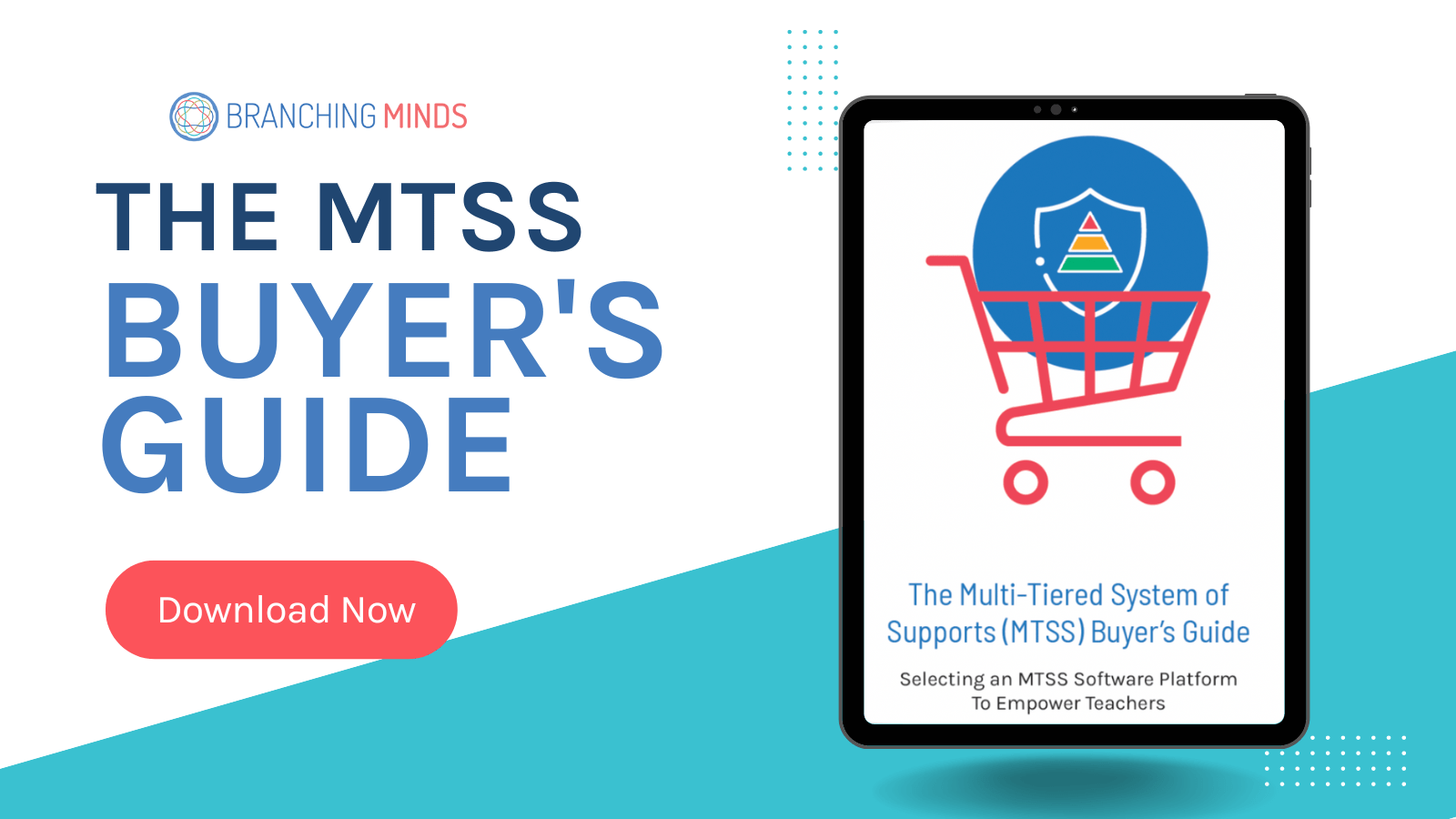 The MultiTiered System of Supports (MTSS) Buyer’s Guide